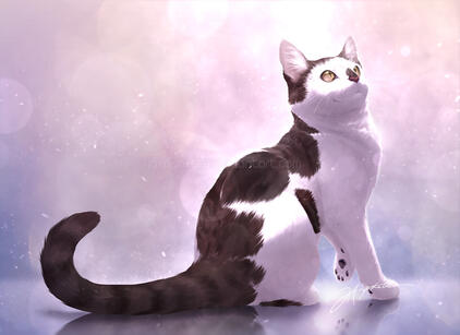 Tinka | Soft texture style